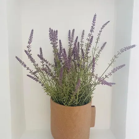 Torre Sibissi Bari Triggiano