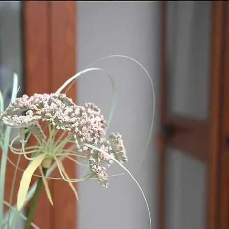 Torre Sibissi Bari Alojamento de Acomodação e Pequeno-almoço Triggiano